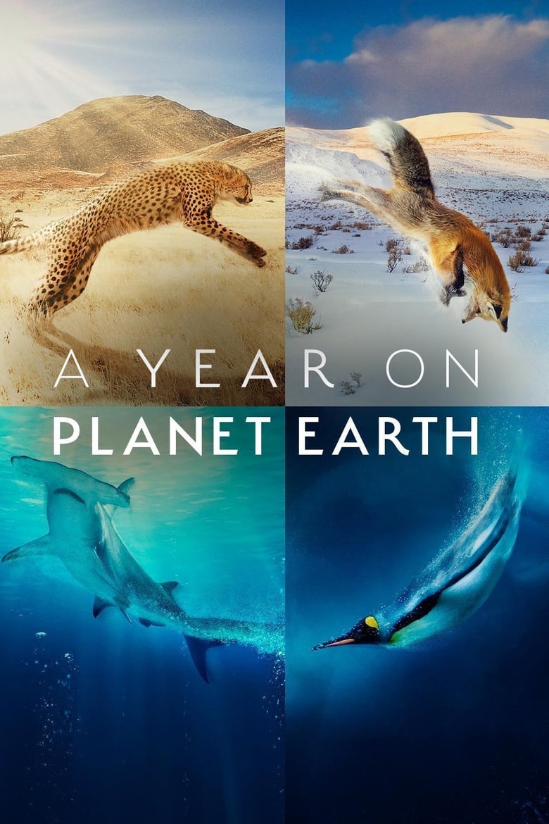 地球上的一年: 第 1 季